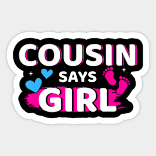 Gender reveal cousin says girl matching family baby party Sticker